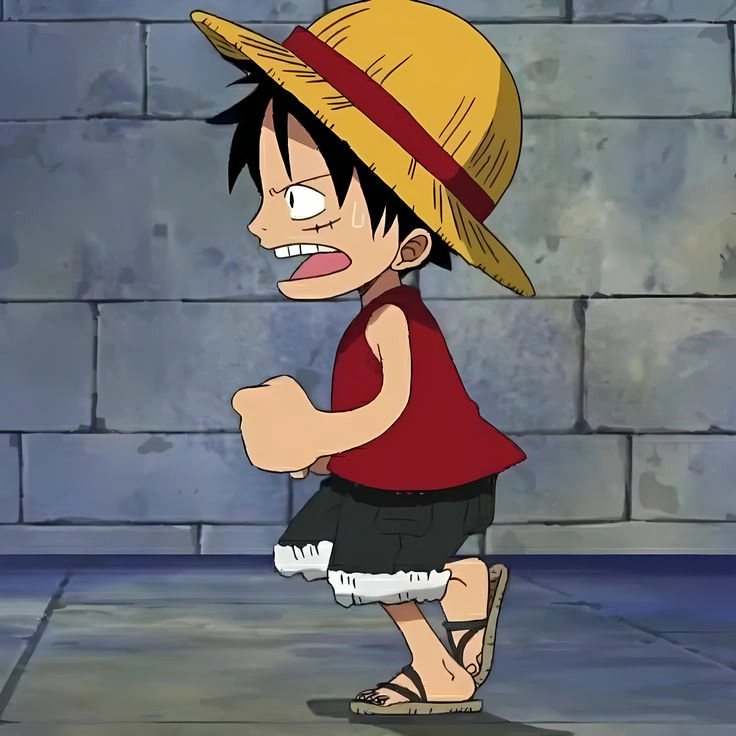 avatar Luffy 14