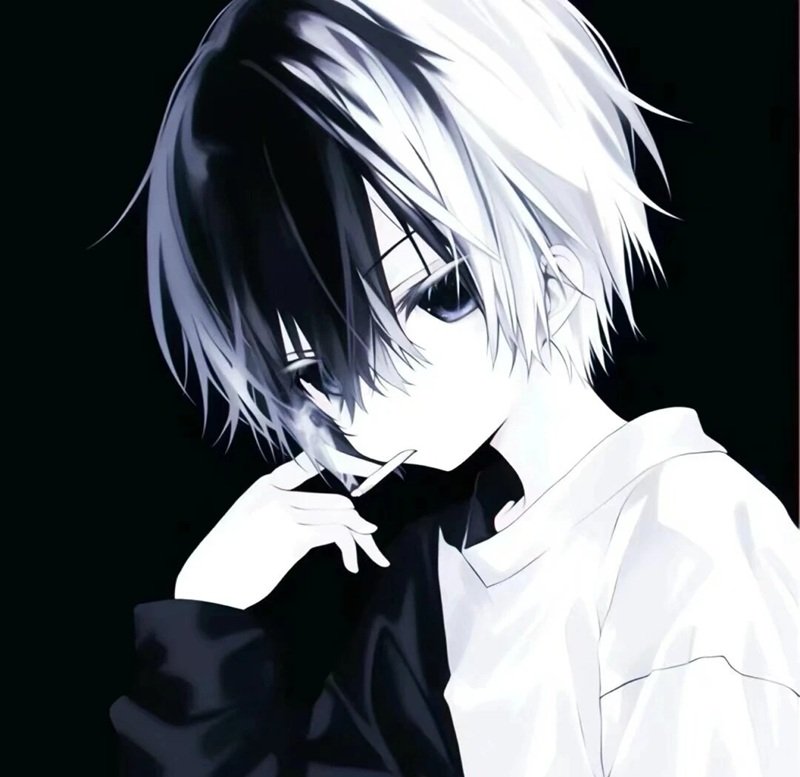 anime tv 8